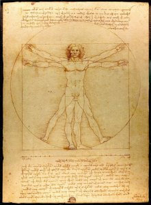 Vitruvian Luc Viatour
